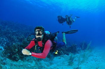 Private Guide Grand Cayman