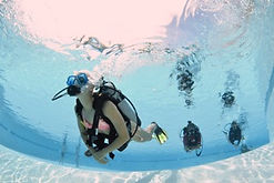 Open Water Referral Grand Cayman