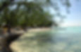 Rum Point - Beach