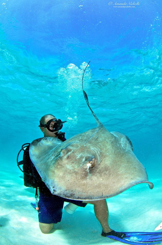 Stingray City
