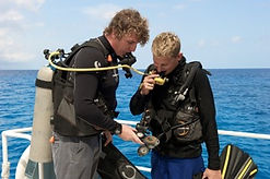 PADI DM Course Grand Cayman