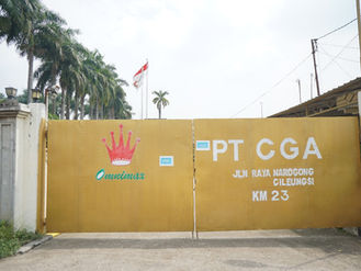 Weaving a Legacy : Tracing Omnimax's Journey in Rubber Thread Production