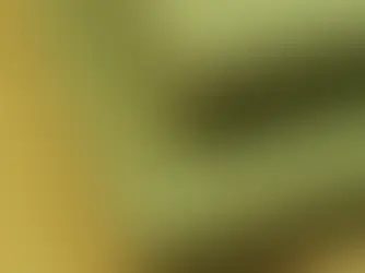 Apakah MDF Hijau Mudah Mengembang di Tempat Lembab?
