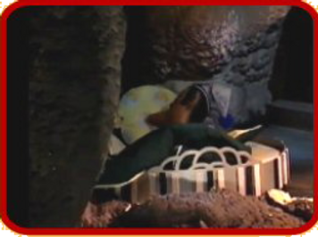 sts_jukebox_vault_tito.png