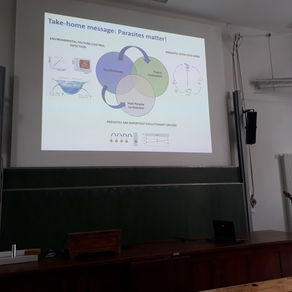 Invited talk at FU Berlin
