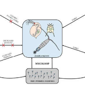 Our paper in the top20 most downloaded in Environmental Microbiology