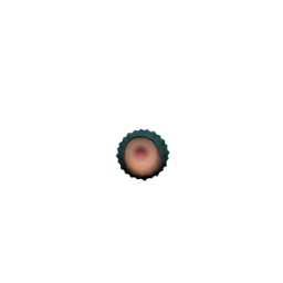 Thumbnail: BachelorSet Part2