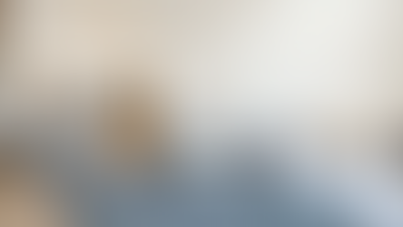 Barrisol Stretch Ceiling