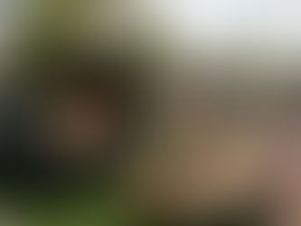 Pizza Catering Taylors Lakes