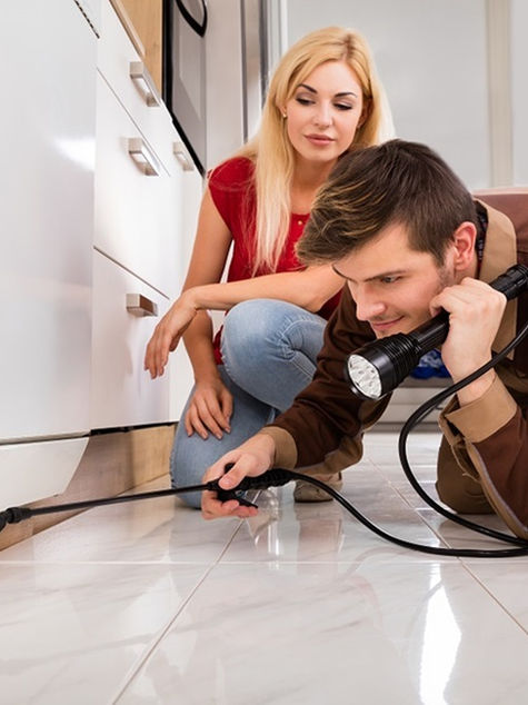 Why is Pest Control Important and Necessary?