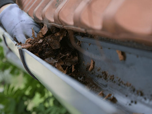 gutter cleaning geelong