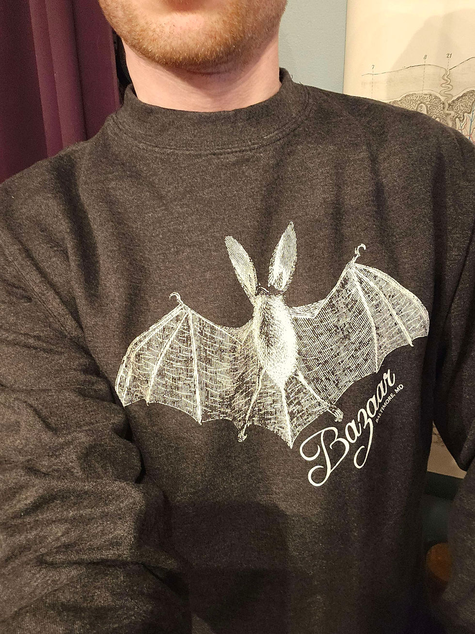 Thumbnail: Crewneck Sweatshirt - Bat Design
