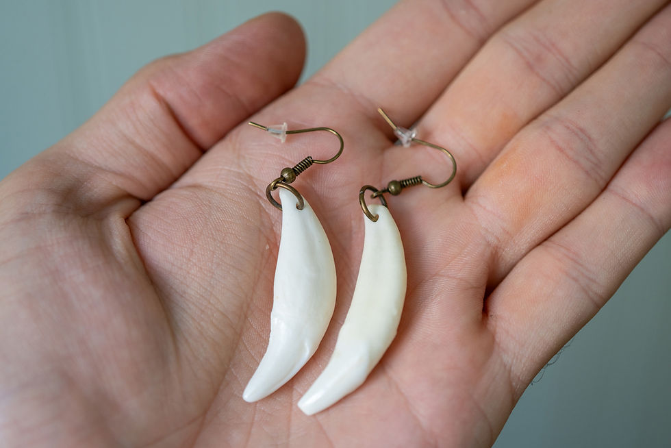 Thumbnail: Coyote Canine Earrings