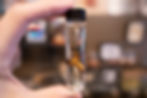 Thumbnail: Golden Orb Spider Wet Specimen