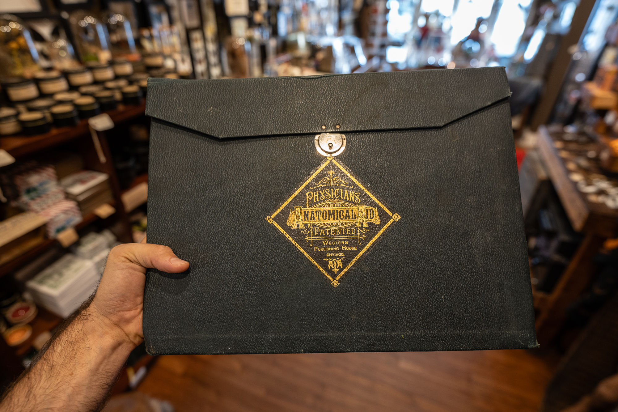 Antique Physician's Teaching Aid Portfolio