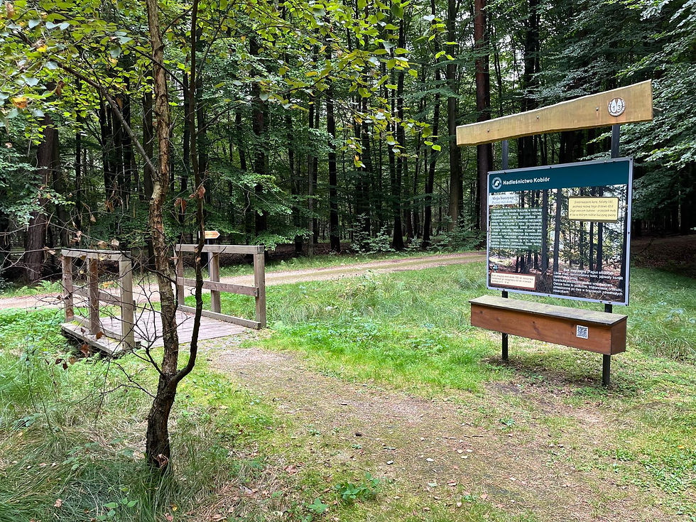 Przystanek na ścieżce edukacyjnej
