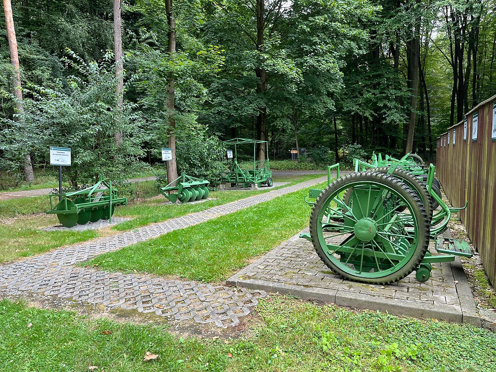 Ekspozycja historycznego sprzętu leśnego