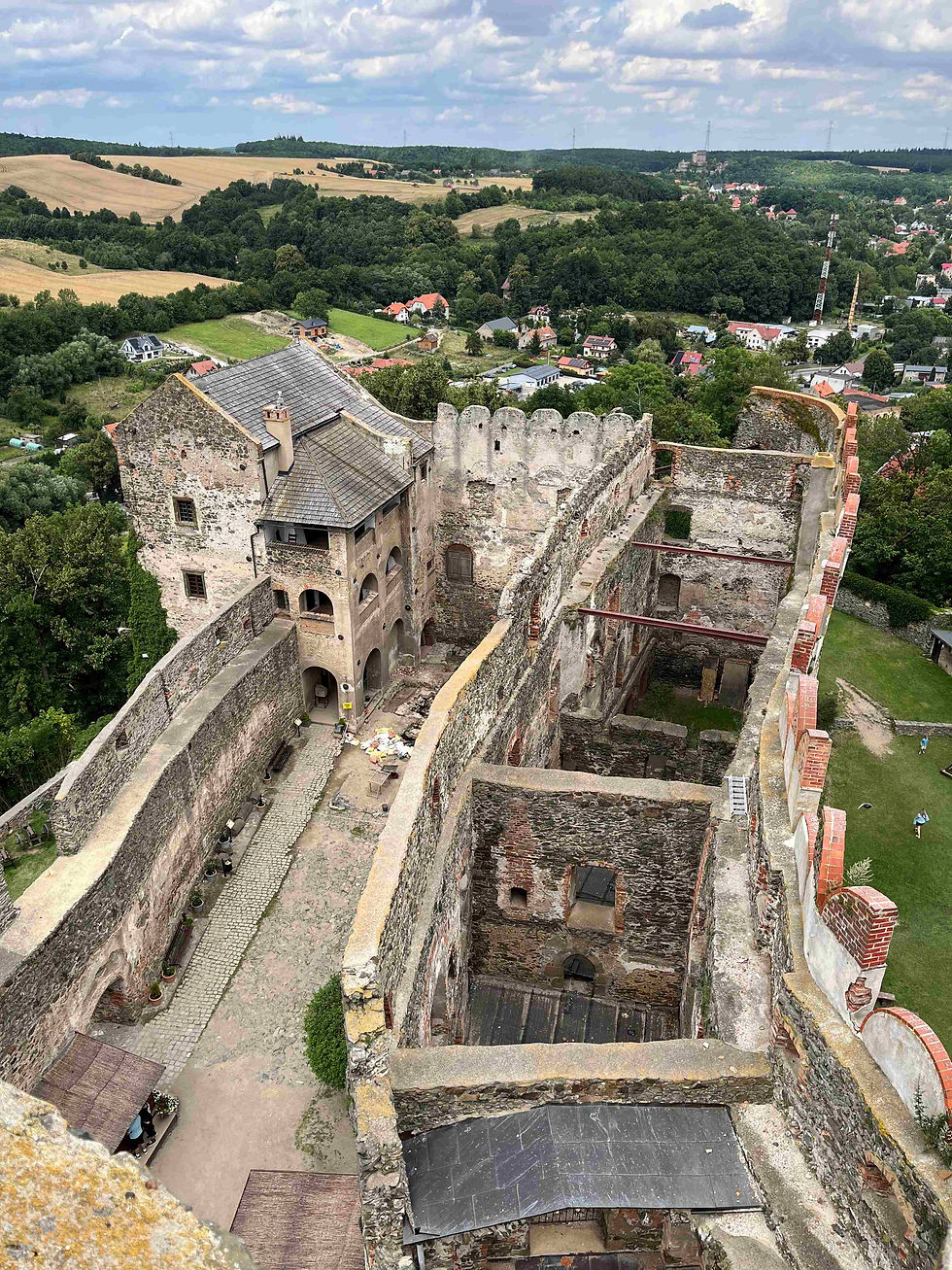 Widok z wieży na zabudowania zamkowe. Na dalszym planie zamek w Świnach