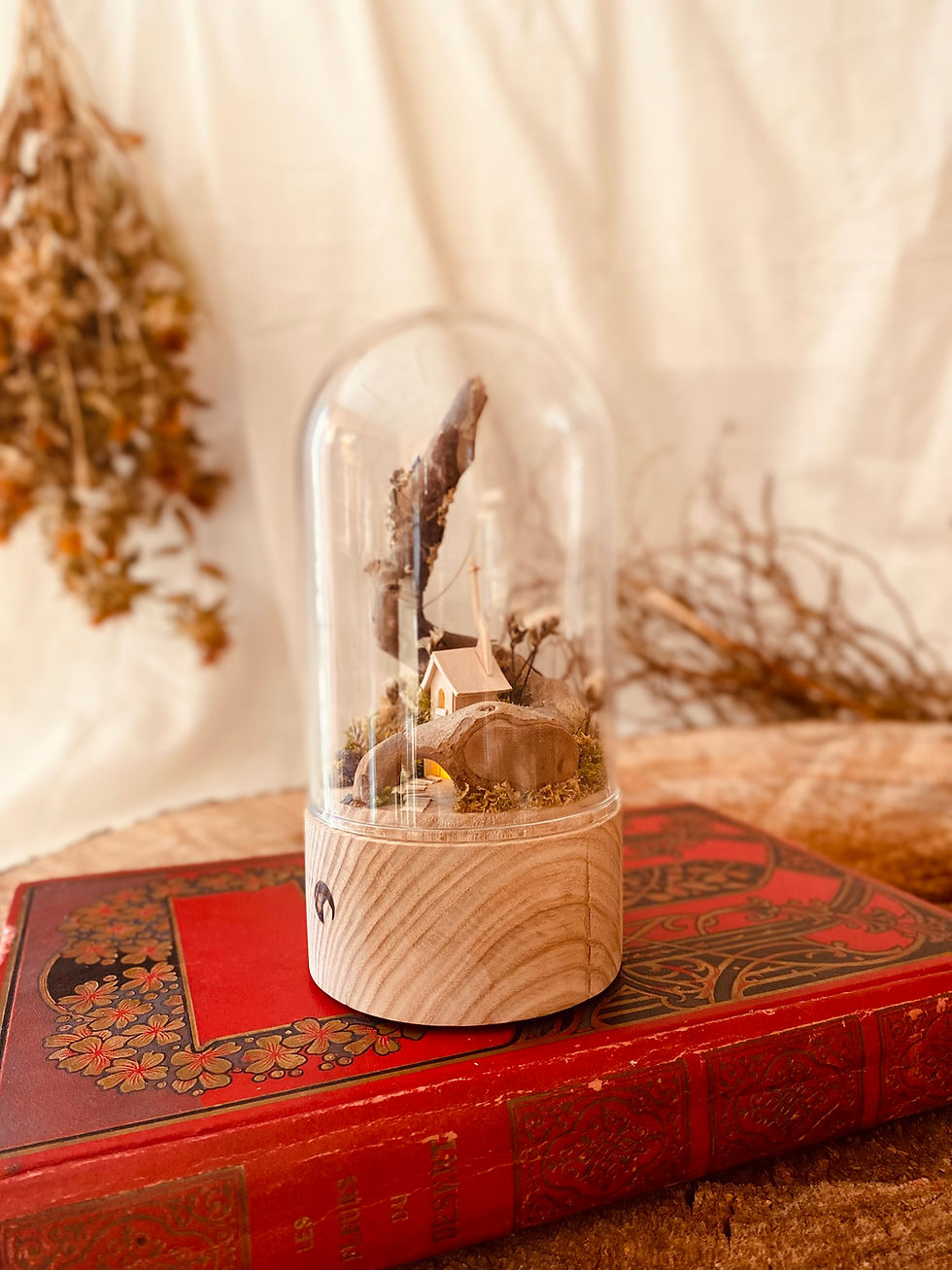 Miniature : Statis Sylvestre