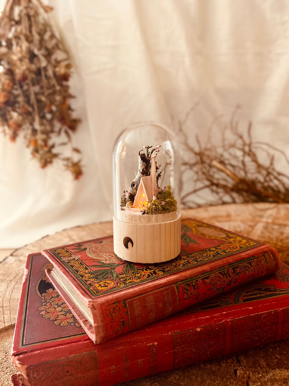 Miniature : Bruyère Sylvestre