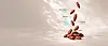 CAPA - Cacau 360.webp