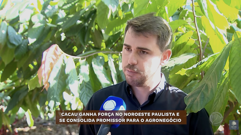 série cacau - record 01.png