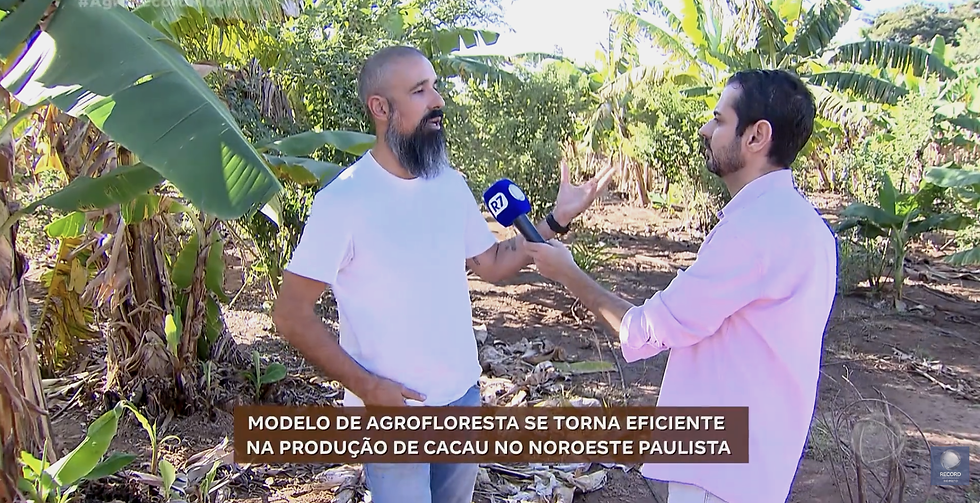 série cacau - record 03.png