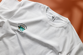 Etude de cas: identité de marque pour le Comité des Fêtes de Pompertuzat par l'agence Helianthus DesignStudio