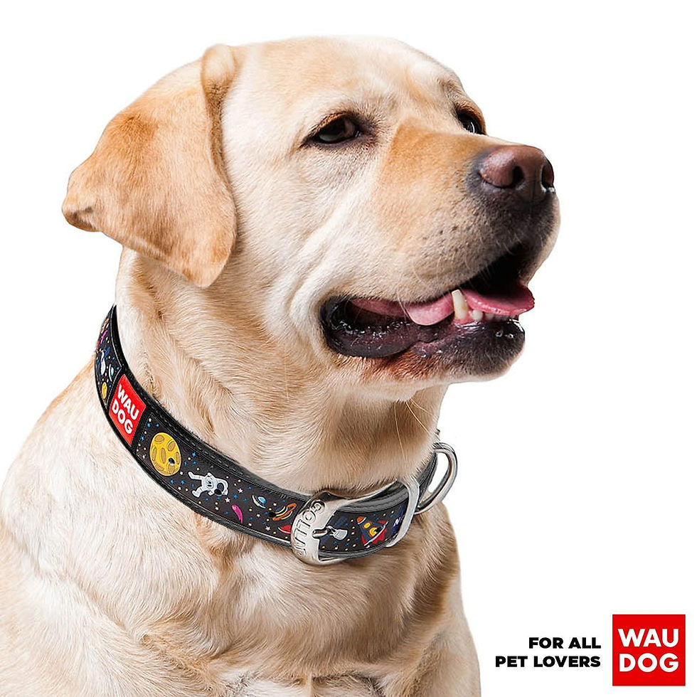 Thumbnail: Leather Dog Collar with NASA Design for XSmall Dogs 811 in Neck x 0.5 in Wide