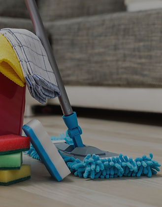 Cleaning Supplies Display_edited.jpg