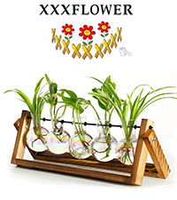 Thumbnail: XXXFLOWER Plant Terrarium with Wooden Stand, Air Planter Bulb Glass Vase Metal 