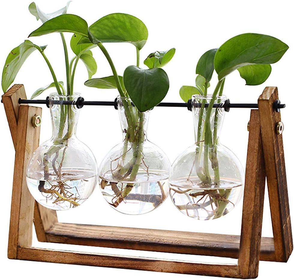 Thumbnail: XXXFLOWER Plant Terrarium with Wooden Stand, Air Planter Bulb Glass Vase Metal 