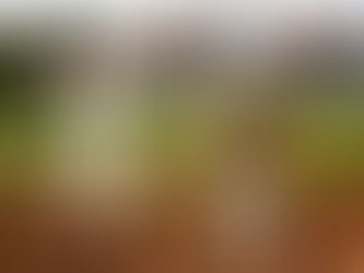 Recapping the 2024 US Open: A Showdown of Golf Greatness