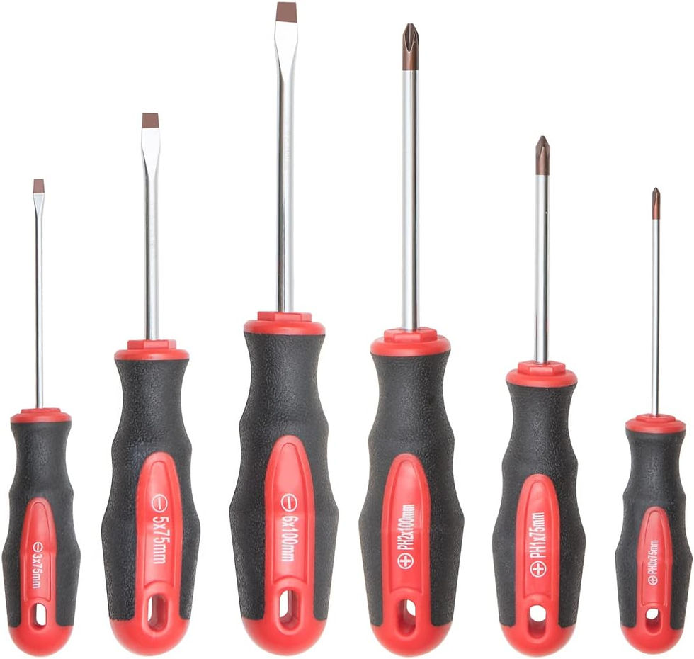 6PCS Magnetic Tip Screwdriver Set, 3 Phillips and 3 Flat, Professional Cushion