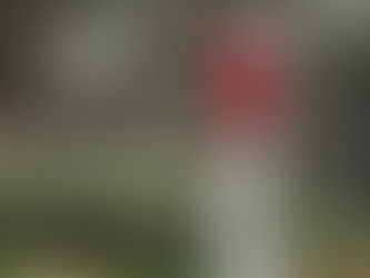 Top 10 Must-Have Golf Products on Amazon.com