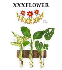 Thumbnail: XXXFLOWER Plant Terrarium with Wooden Stand, Air Planter Bulb Glass Vase Metal 