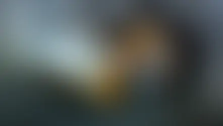 Vale conclui operação de US$ 2,5 bi com a Manara Minerals