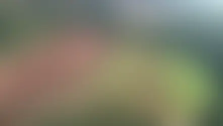 MG firma parceria de R$ 500 milhões para acelerar descomissionamento de barragens