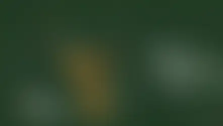 G Mining exerce direito de compra em Tocantinzinho