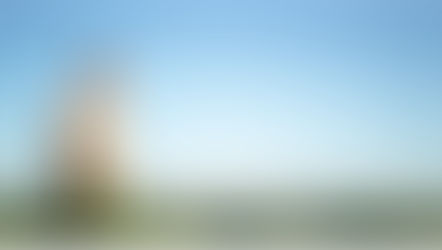 Guerra: Ibram alerta para alta de preços e escassez de fertilizantes