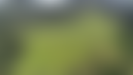 Mineração Usiminas preserva mais de 5 mil hectares de áreas verdes