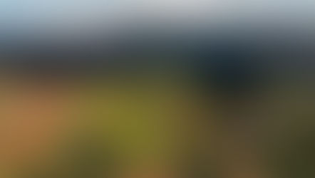 Vale já encerrou o nível de emergência de sete barragens em 2022