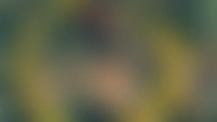 St George compra terreno de R$ 14 milhões para projeto de nióbio em Araxá, Minas Gerais