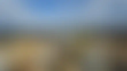 Equinox Gold recolhe R$ 31,9 milhões em royalties em 2022