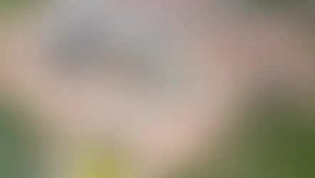 Mineração Serra Verde inicia produção comercial em Minaçu