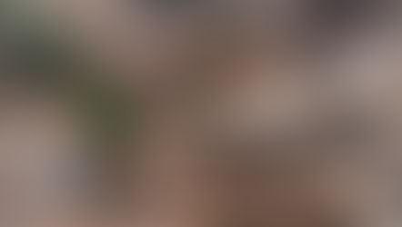 Entenda o acordo de repactuação da tragédia em Mariana