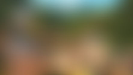 Bahia comercializa R$ 10,2 bilhões em 2022