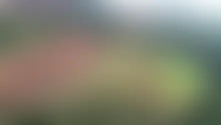 ArcelorMittal assina acordo para reparação coletiva em Itatiaiuçu (MG)