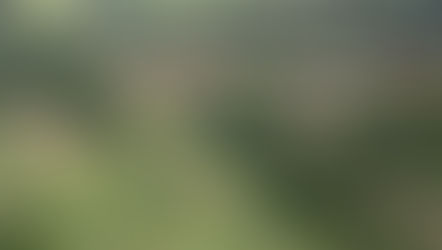 Investimentos em descaracterização de barragens da Vale ultrapassam R$ 7 bilhões