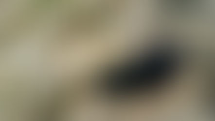 Cratera no Chile continua crescendo e já tem 200m de profundidade